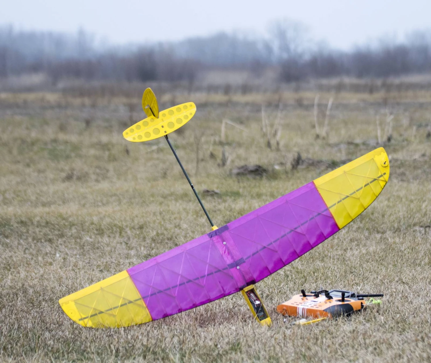 Alt 1m DLG 9 Alt 1m DLG - Image 7