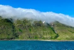 Dream-Flight Weasel-Trek 90cm -Kids Toys Shop dream flight weasel trek 90cm 30