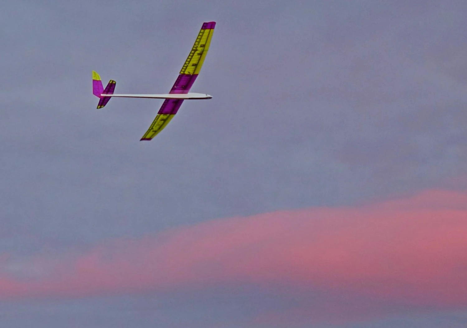 Inside F5J 2.9m 5 Inside F5J 2.9m - Image 3