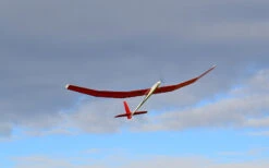 Introduction F5J 2.9m -Kids Toys Shop introduction f5j 2 9m 70