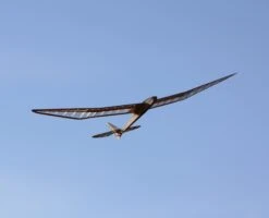 Micro Bird Of Time 1.2m -Kids Toys Shop micro bird of time 1 2m 40