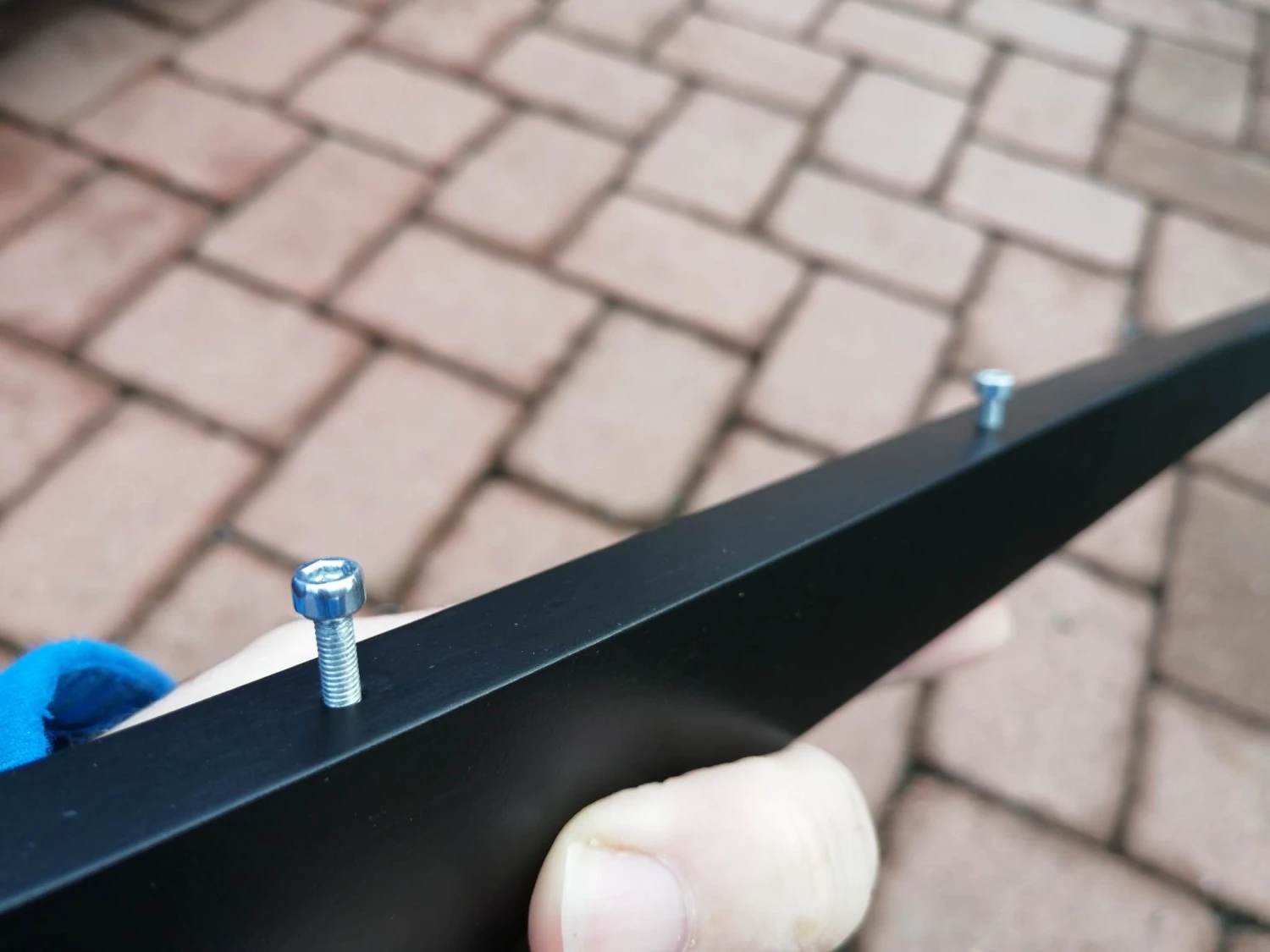 Mini Kiwi 1.33m 12 Mini Kiwi 1.33m - Image 10