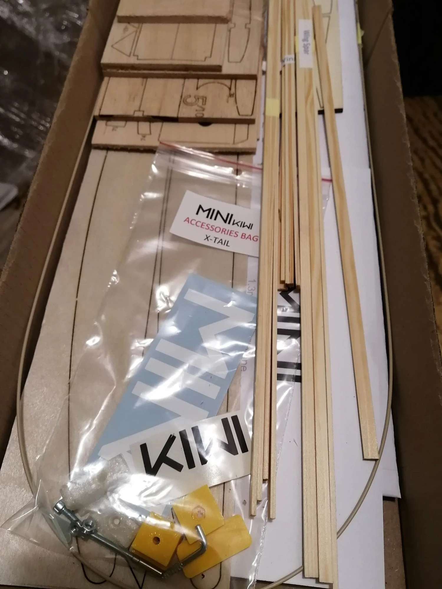 Mini Kiwi 1.33m 17 Mini Kiwi 1.33m - Image 15