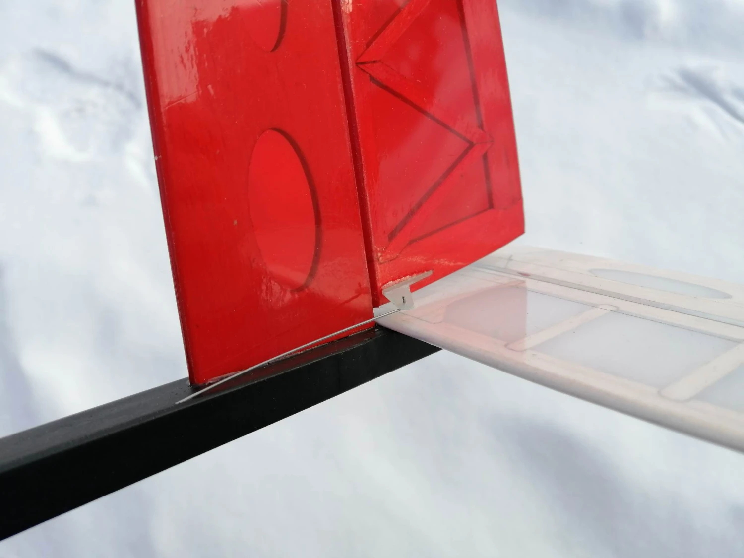 Mini Kiwi 1.33m 6 Mini Kiwi 1.33m - Image 4