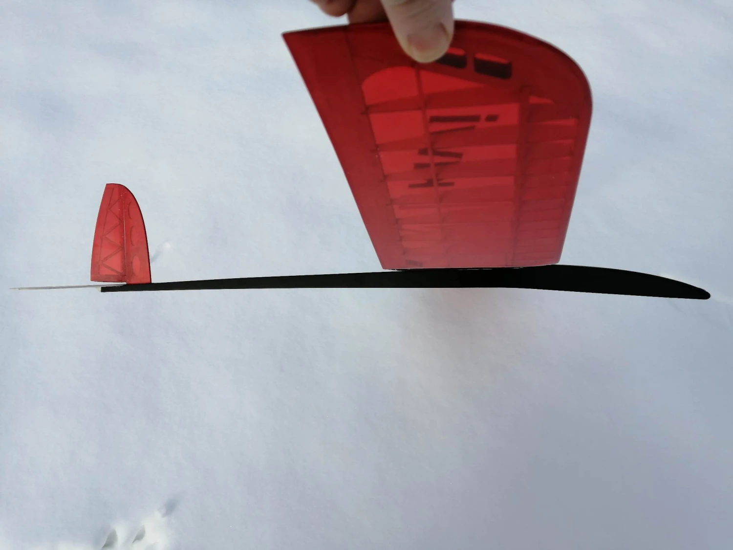 Mini Kiwi 1.33m 7 Mini Kiwi 1.33m - Image 5