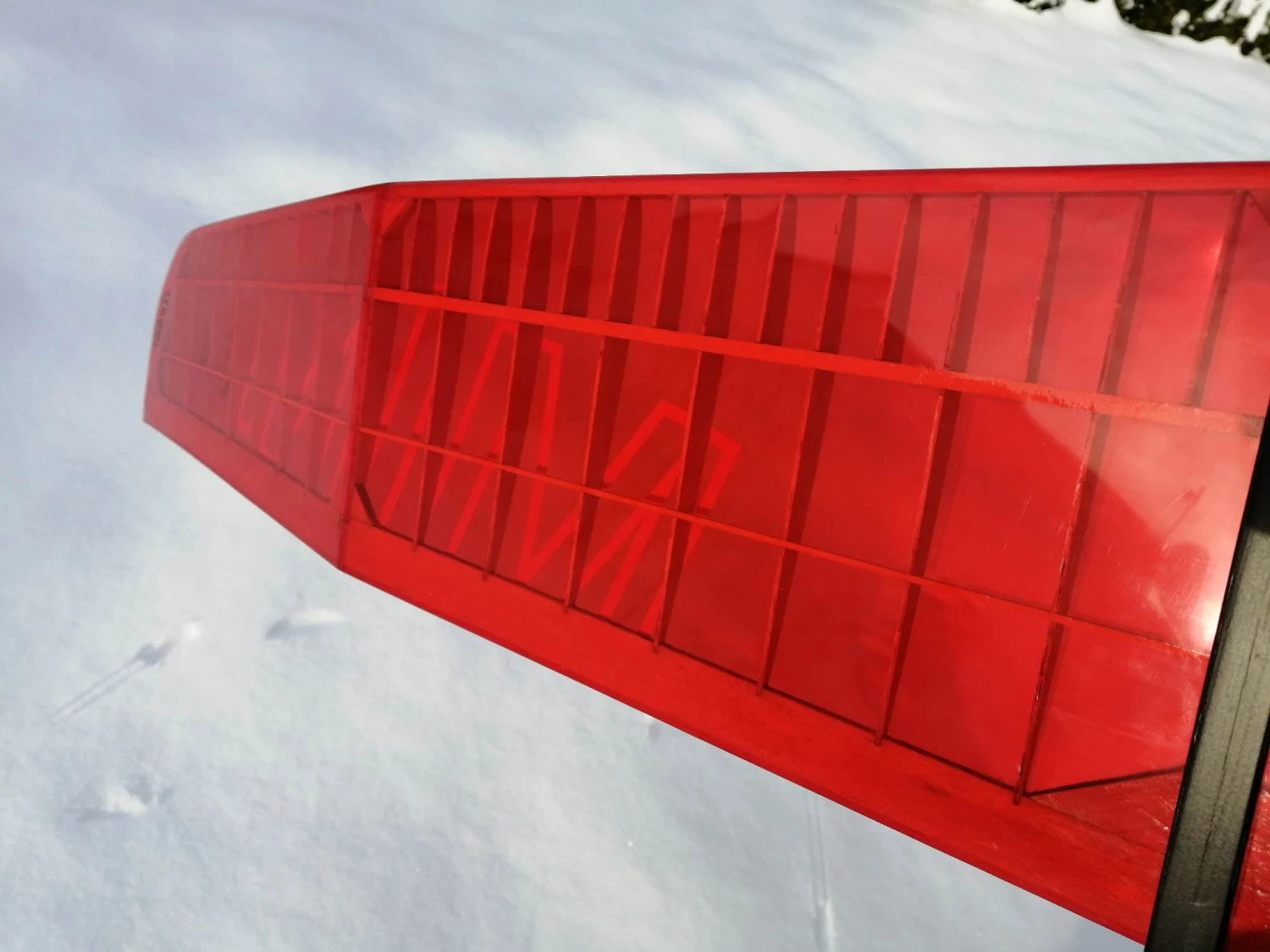 Mini Kiwi 1.33m 9 Mini Kiwi 1.33m - Image 7