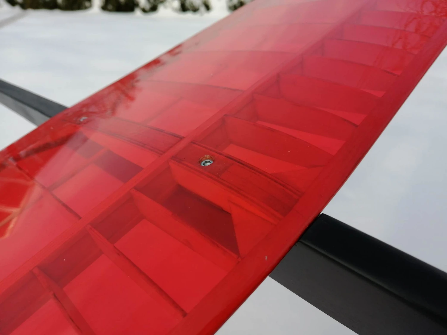 Mini Kiwi 1.33m 11 Mini Kiwi 1.33m - Image 9