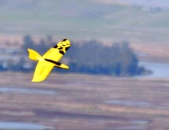 Mini Q Slope/Electric Sports Racer 81cm -Kids Toys Shop mini q slope electric sports racer 81cm 14